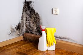 Best Mold Prevention Services  in Rock Island, WA